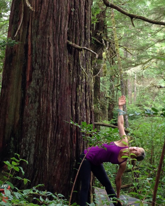 yoga in the forest